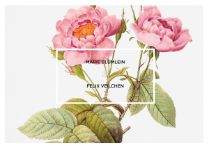 Tristan und Isolde - Antwortkarte