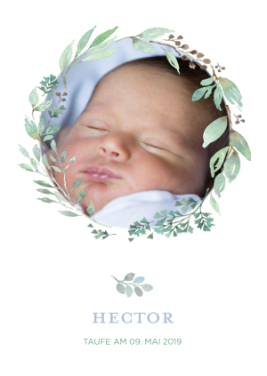 Hector
